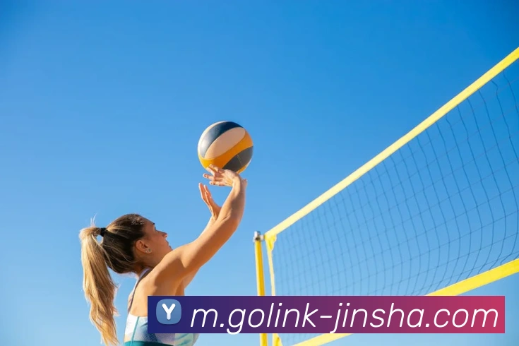 金沙娱乐发展历程